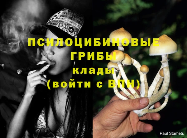 мет Балахна